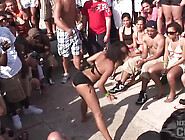 Neverbeforeseen Bikini Booty Shake Contest At Spring Break South Padre - Nebraskacoeds