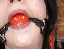 Babe Suspended And Machine Fucked