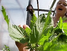 Self Torturing : Itchy Nettles For My Naughty Feet