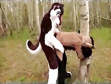 Sum Furries Fucking Each Other Idk Das Gay