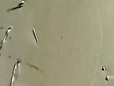 Cumshot on the ass of a gf at the beach