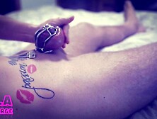 Chastity morning tease and denial my cucky...  will I let him sperm? ;-)