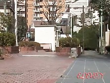 Magnificent oriental broad receives sharking gift during her public walk