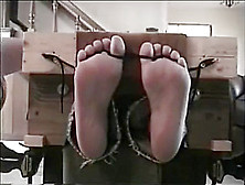 Feet Tickled In Stocks