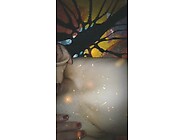 Random toys make her pussy creamy