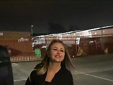 Willy Wankers the making of porn compilation