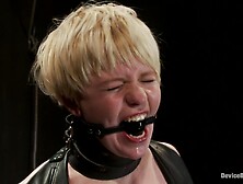 Alani Pi Exposed and Vulnerable