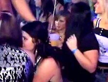 Party Animal - Extreme College Girls in an Epic Swinger's Paradise