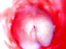 WEB CAMERA INSIDE VAGINA: ALMOST JIZZ IN VAGINA! BEST Internal ASMR in 4K