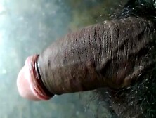 Opening pink head of my african prick