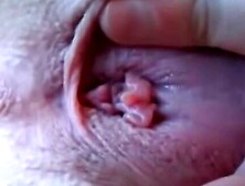 MOTHERSTEPDaUGHTER HomoSEXUAL MISCREATION WHEN THE FAMILY PODINARY DESCENDS INTO CHAOS!