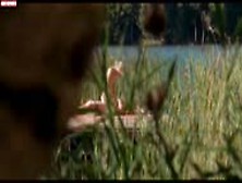 Sandra Borgmann In Olga's Summer (2002)