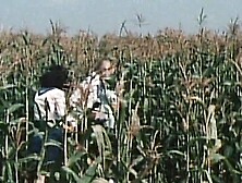 Hottest Porn Classics 19