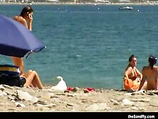 theSandfly Beach Beauty