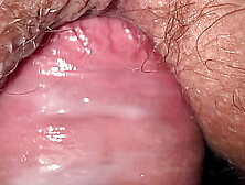 Fuck friend' s tight wife and cum in panties