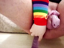 Lynx experiences different toys,  chastity and moans a little