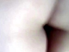 Sakura Dreams and Moonlit Nights