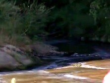 LUST IN THE CURRENT 18 EXPOSED