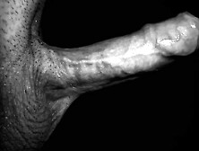 Lengthy Oral job till I cum in her throat - Luce Avery Ebony & White