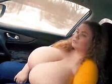 The Kitten Natividad situation