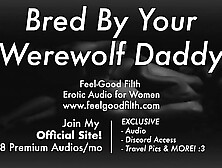 DDLG CNC Roleplay: Gigantic Dong Werewolf Breeds You All Night Long [Erotic Audio for Women] [Dirty Talk] [ASMR]