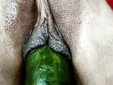 Desi Village Housewife Inserting Large Cucumber In Her Pussy End