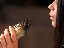 My Fragrance - Avi Love