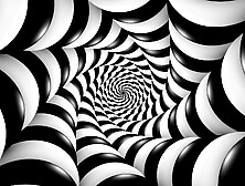 Stage one Preparing the Manpig for Safe Haven Pig Farm