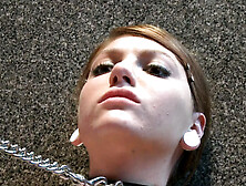 Submit Screech Iterate