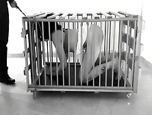 Bondage Snatch Tortured And Caged - Real Homade Bdsm