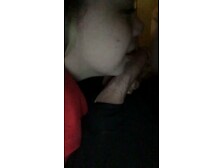 Sister Sucking My Cock