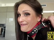 Brunette hair Barbara Bieber screws S&M large shlong to eat cum