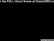 Hardcore Gonzo Chaos! David Perry, Toni Ribas, Phoenix Marie & Riley Evans at Gonzo2000