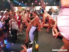 Horny Dancing And Cocksucking Girls In A Club