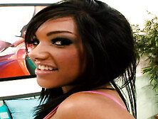 Brunette Sweety Catalina Taylor Swallows His Humongous Cock