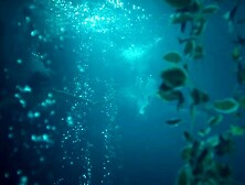 Angelina Strechina, Pisheblok (2021)