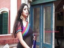 Rupsa - Saree Lady - Deep Cleavage