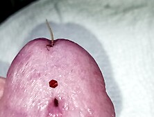 2nd mousie enters up close