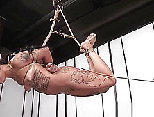 Ebony Submissive Canned And Restrained