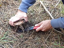 Manlyfoot Goes Barefoot In The Woods For Mushroom Picking,  Naked And Shoeless!