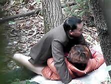 Chinese Step daddy Forest 33