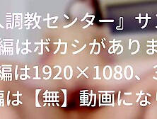 Sizzling Summer Nights Hoe 2