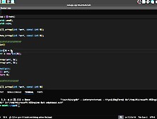 #24 Dynamic Memory.  fresh/delete operators
