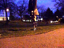 diaper girl potty collection