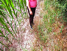 111 Strokes On Her Breasts In Cornfield