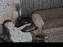 Jizz Hungry Mature Vivian Cox Watches My Enormous Hard Dong Sperm on Her Face - Mister Cox Productions