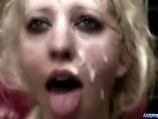 THE DESENSITIZER (POPPER TRAINER)