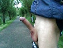 Public Dick Flash