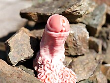 Rockman is the girthy Dwarf sex tool u've been looking for (Review!)