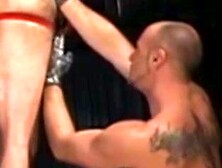 UNLEASH THE BEAST Shanes Fearsome FckFest Ends in EPIC Iron Domination!